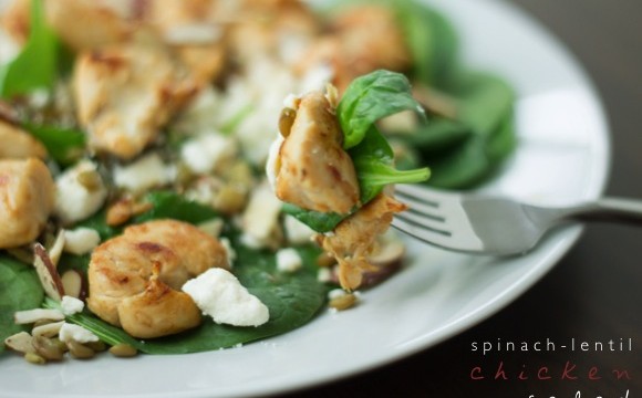 Chicken Salad with Lentils and Spinach