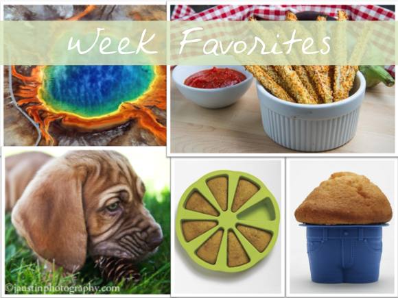 Lite Goodies - Week Favorites